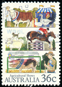 邮票家畜奶牛牛肉内存海豹邮戳哺乳动物母羊信封明信片图片