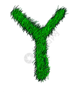 草地A2Z养护字体藤蔓艺术插图卷曲环境植物绿色字母图片