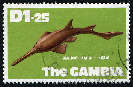 邮票邮政动物海洋地址邮局信封运动邮戳游泳卡片图片