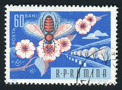 邮票昆虫卡片花瓣邮局蜜蜂信封集邮邮件邮政爱好图片