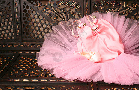Ballet 芭蕾服装戏服棕色细绳短裙雕刻丝带玫瑰粉色绿色木头图片