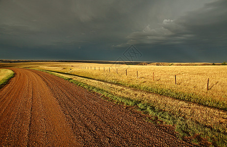 萨斯喀彻温乡村公路沿线的暴云水平绿色农村阳光照射乡村阴影风景云层场景暴风云图片