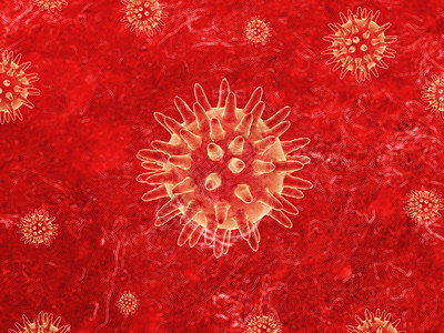 红细菌身体孢子科学病原防御病菌宏观基因疾病细胞图片