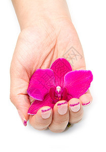 用女人手的兰花异国手指表皮身体魅力指甲润肤温泉花瓣一部分图片