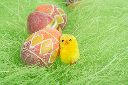 复活节小妞生活假期金子雏鸟节日草地礼物季节传统小鸡图片