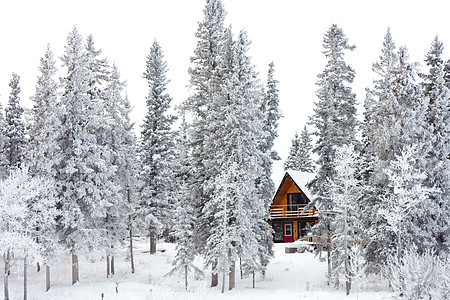 冬季奇幻园的圣诞小屋图片