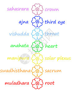 Chakra 柱中彩色花朵渠道瑜伽骶骨冥想眼睛脉轮咒语紫色照明柱子图片