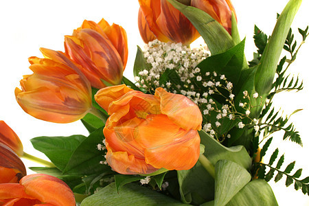 郁金花朵黄色树叶花束橙子绿色花瓶背景图片