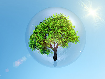 树圆圈生态阳光圆形反射地球绿色玻璃环境背景图片