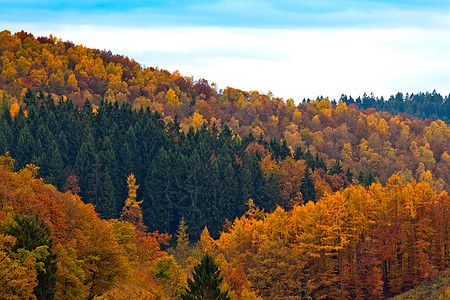 秋季树木天空森林棕色叶子爬坡黄色蓝色橙子树叶图片