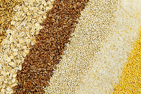 密闭的谷粒棕色小麦核心食物农业营养饮食燕麦粮食种子图片