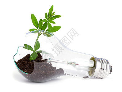 灯泡 里面生长植物全球概念创新发明资源活力地球生态环境技术图片