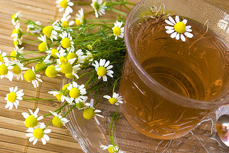 甘菊茶治疗药品甘菊玻璃液体桌子杯子叶子疗法花瓣图片