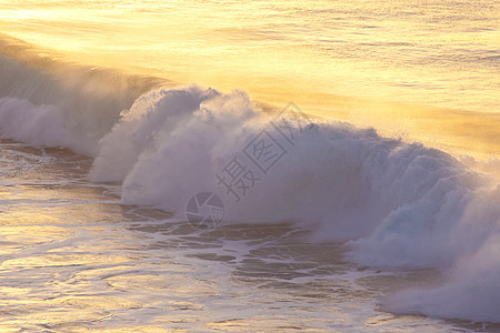 海波海浪短跑热带气泡波纹液体波浪泡沫金子水滴太阳图片