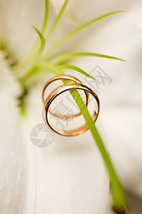 结婚戒指宏观热情联盟新娘玫瑰白色花朵钻石婚姻花束图片