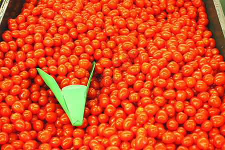 显示番茄沙拉果汁食物饮食营养蔬菜收成木板烹饪生产图片