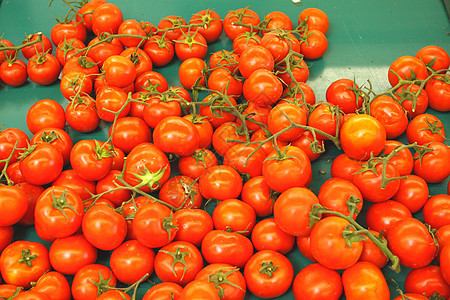 显示番茄婴儿果汁烹饪玻璃植物展示花园食物营养水果图片