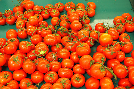 显示番茄收成木板果汁生产沙拉营养食物婴儿蔬菜展示图片