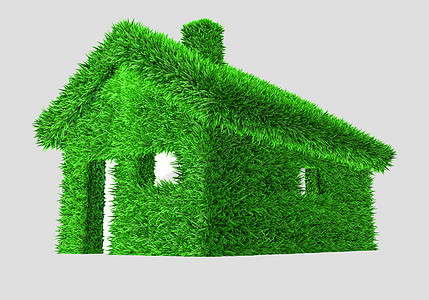 3D 说明一座有草的绿屋植物房子绿色生活安全建筑概念活力环境建筑学图片