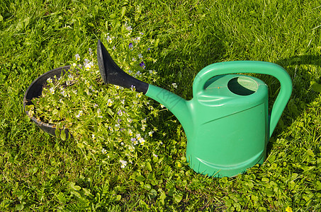 绿水罐塑料绿色水滴灌溉花园生活喷壶黑色生长园艺图片
