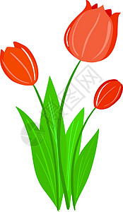 Tullip 郁金风格叶子卡通片装饰花园花束图片