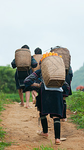 越南萨帕山区部落妇女图片