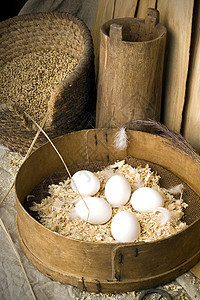 蛋早餐食物生活烹饪胚胎蛋黄家禽包装农场淡黄色图片
