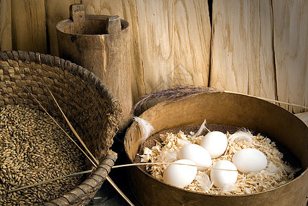 蛋技术烹饪生活淡黄色食物家禽胚胎乡村包装煮沸图片