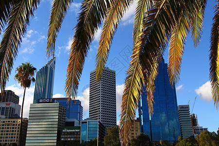 澳洲珀斯的天台和办公楼 城市天空线商业金融摩天大楼绿地景观草地办公室天际建筑公园图片