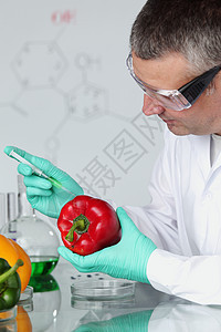 丙型DNA科学家蔬菜实验工作学生老师工人化学品实验室手套图片