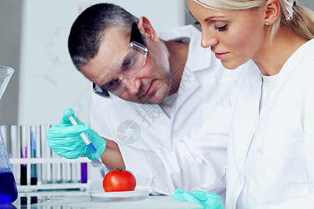番茄DNA显微镜成人工作生物化学科学家医生老师眼镜工程图片