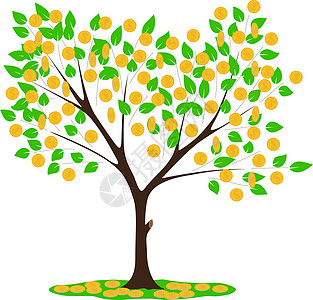 金钱树信用黄色季节银行业经济金融收益投资树干花瓣图片