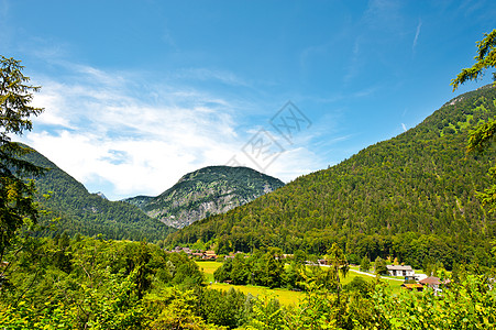 阿尔卑斯山村生长房子大厦爬坡栅栏土地建筑农场别墅收成图片