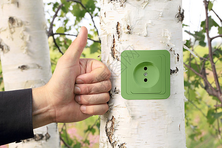 生态能源概念养护发明活力创新桦木技术救援插座环境回收图片