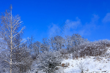 冬季风景森林气候场景蓝色天气房子场地荒野农村季节图片