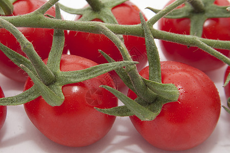 松番茄藤蔓市场水果生产花园植物沙拉食物叶子农业图片