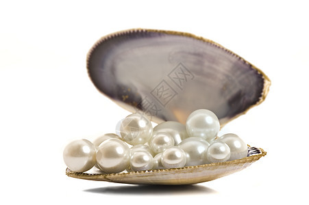 纯白本底的贝壳中美丽的珍珠珠宝反射奢华动物天堂牡蛎热带宏观礼物宝石图片
