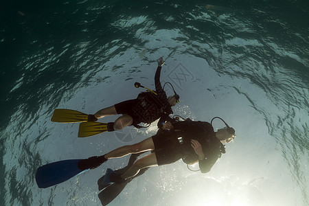 红海的Scuba潜水员阳光海景热带海洋情调珊瑚太阳光异国潜水射线图片