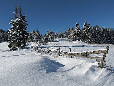 下雪冬季场景图片