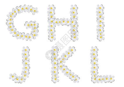 孤立的百字字母数白色标签公司拼写配饰商业设计师鸡蛋花工作字体图片