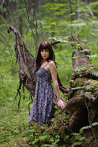 森林干燥树木青年害羞女孩假期叶子荒野树妖女性国家图片