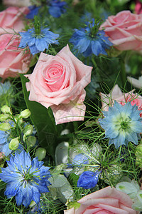 蓝花和粉红花安排花瓣花束植物群作品白色阵雨绿色蓝色玫瑰水滴图片