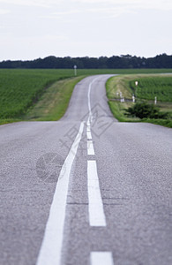 空国家道路和绿地图片