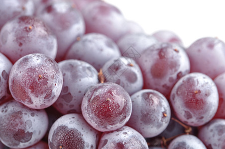 香槟葡萄食物水平小吃水果葡萄属圆形营养紫色宏观图片