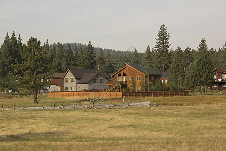 草林中夏日小屋松树度假风光房子云端树木目的地甲板风景木材图片