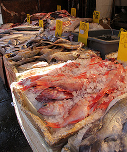 中华市场鲜鱼市场图片
