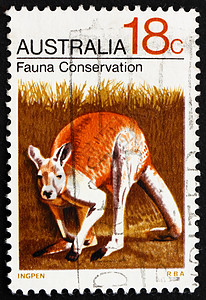 1971年 澳大利亚Kangaroo邮票图片