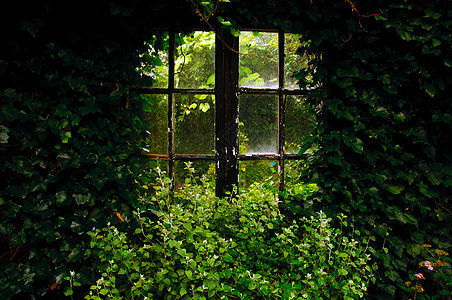 花园窗口藤蔓阳光绿色房子秘密辉光窗户竖框太阳玻璃背景图片