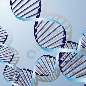 双重DNA螺旋 生化抽象背景基因医疗生活光线遗传学克隆生物学染色体生物技术图片
