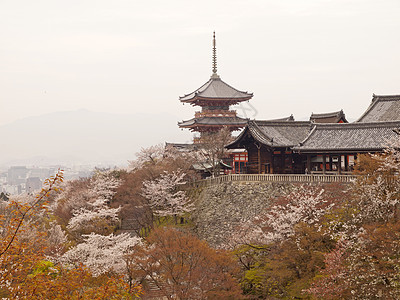 日本清水津田寺的塔塔季节游客宗教寺庙世界遗产佛教徒樱花神社地标宝塔图片